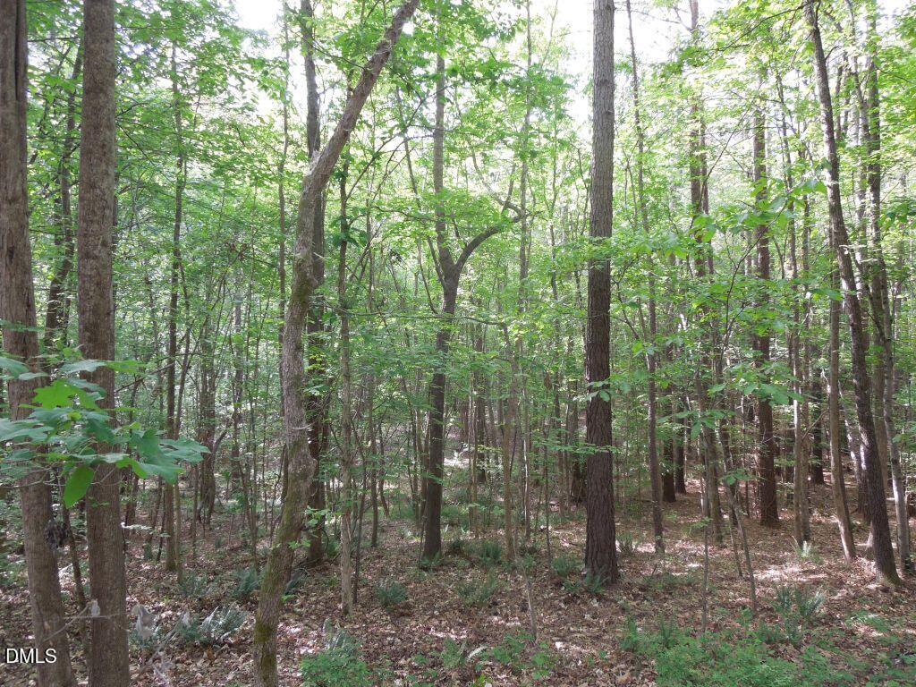 0 Glebe Road Henderson, NC 27537 - Photo 22 of 34 DSCN0495