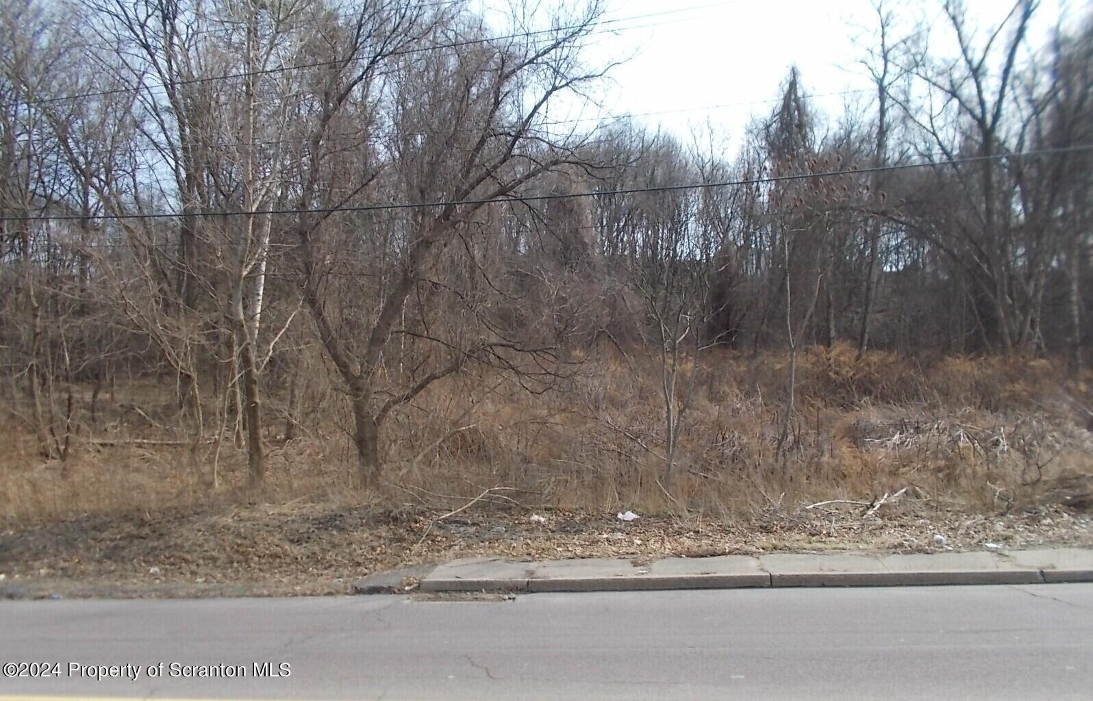 Cedar Scranton, PA 18505 - Photo 3 of 8 a view of a yard covered with snow and trees