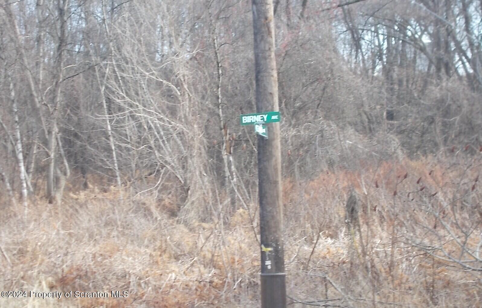 Cedar Scranton, PA 18505 - Photo 4 of 8 a close up of a shower