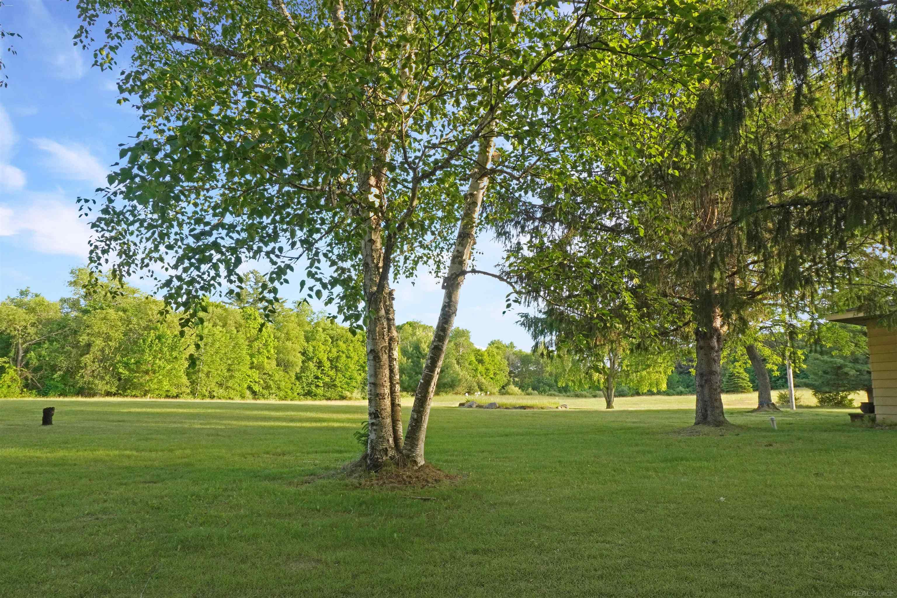 1385 North Blacks Corners Road Imlay City, MI 48444 - Photo 55 of 57