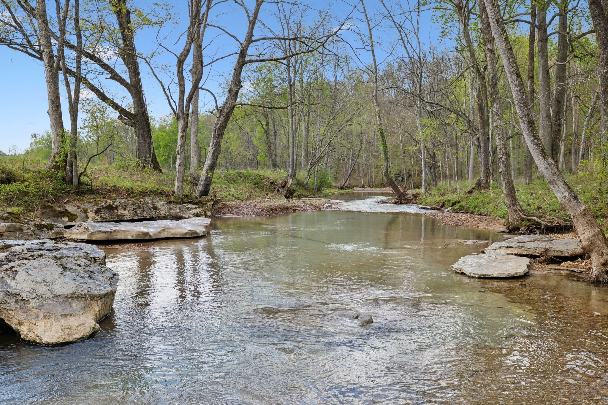 3105 Coy Hill Road Olivehill, TN 38475 - Photo 86 of 100