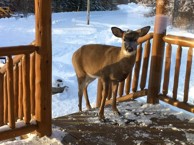 $280,000 | 58 Thorne Road, Sherman, ME 04776