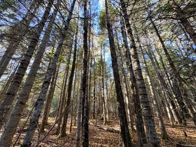 $280,000 | 58 Thorne Road, Sherman, ME 04776