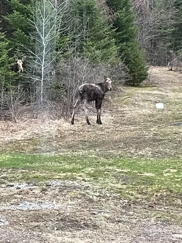 $280,000 | 58 Thorne Road, Sherman, ME 04776