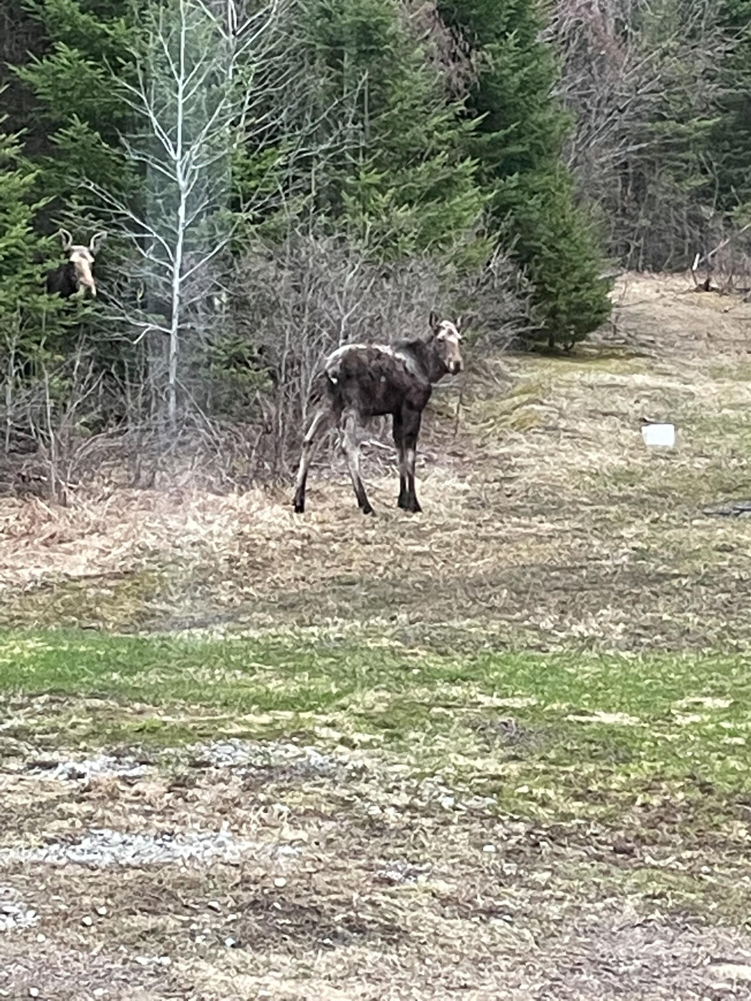58 Thorne Road Sherman, ME 04776 - Photo 40 of 41 39