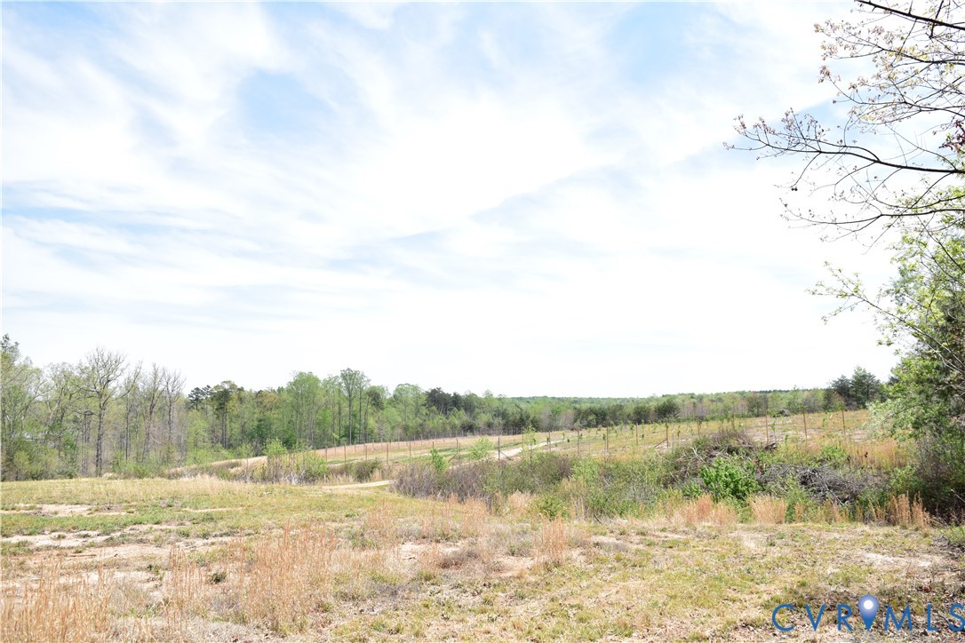 1075 Freshwater Creek Road Mineral, VA 23117 - Photo 11 of 16