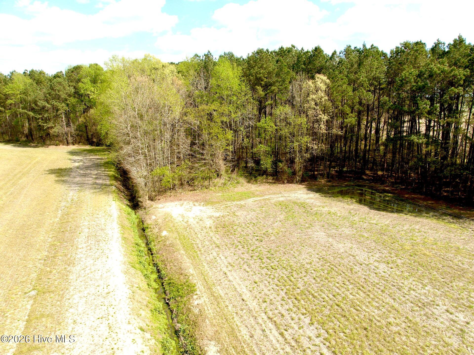 0 Middle Swamp Road Gates, NC 27937 - Photo 12 of 25 11