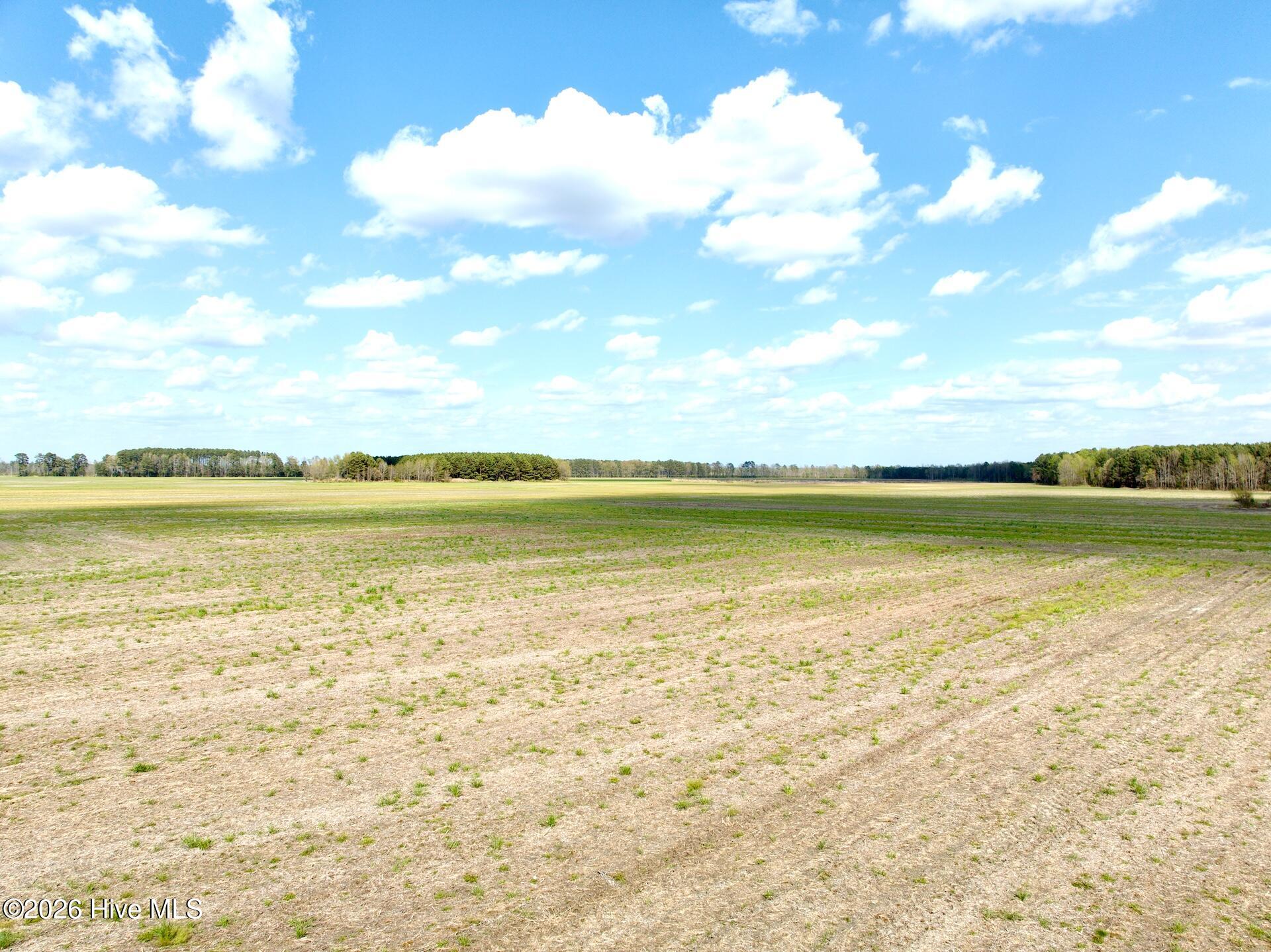 0 Middle Swamp Road Gates, NC 27937 - Photo 3 of 25 2