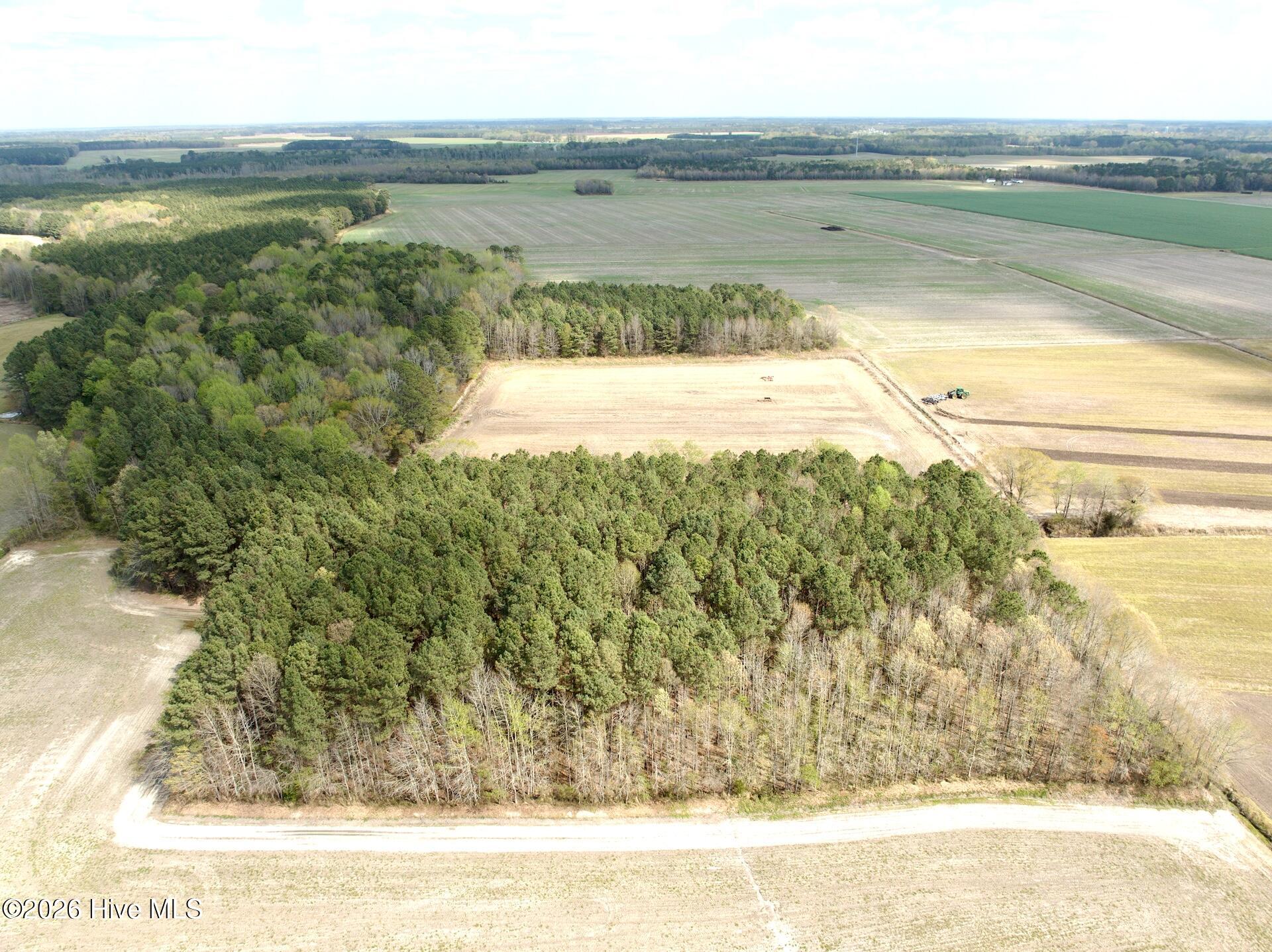 0 Middle Swamp Road Gates, NC 27937 - Photo 8 of 25 6