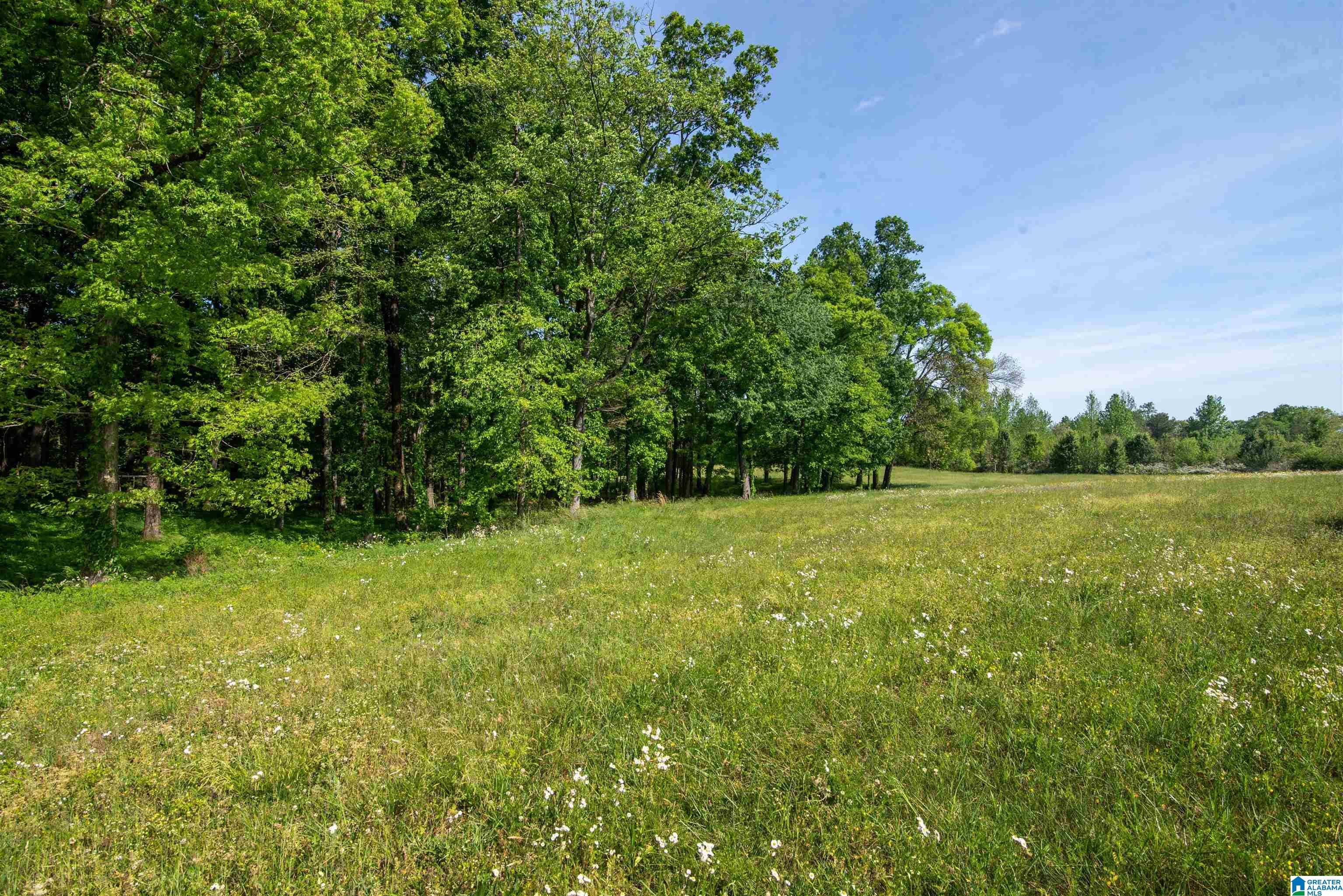 Apple Grove Road, Unit 4 Somerville, AL 35670 - Photo 5 of 19 Gallery Image 5