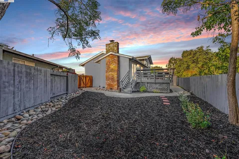 a view of a small yard in front of a house with a large tree