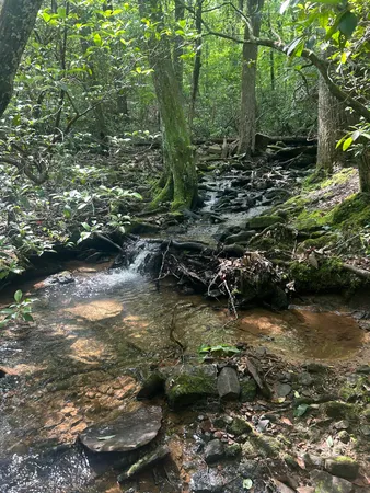 $749,900 | 343 Highlands Forest Road, Rising Fawn, GA 30738