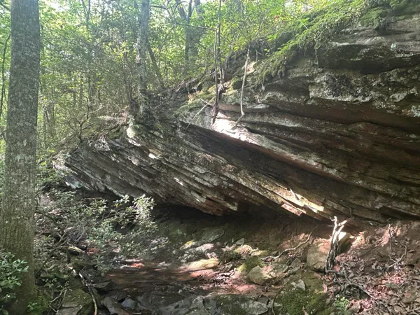 $749,900 | 343 Highlands Forest Road, Rising Fawn, GA 30738