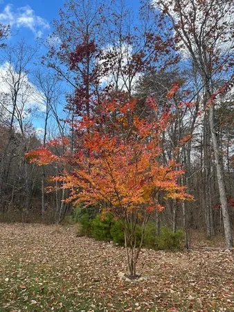 $749,900 | 343 Highlands Forest Road, Rising Fawn, GA 30738