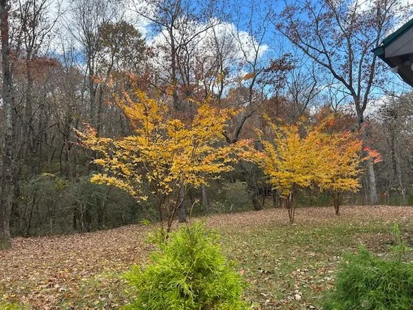 $749,900 | 343 Highlands Forest Road, Rising Fawn, GA 30738