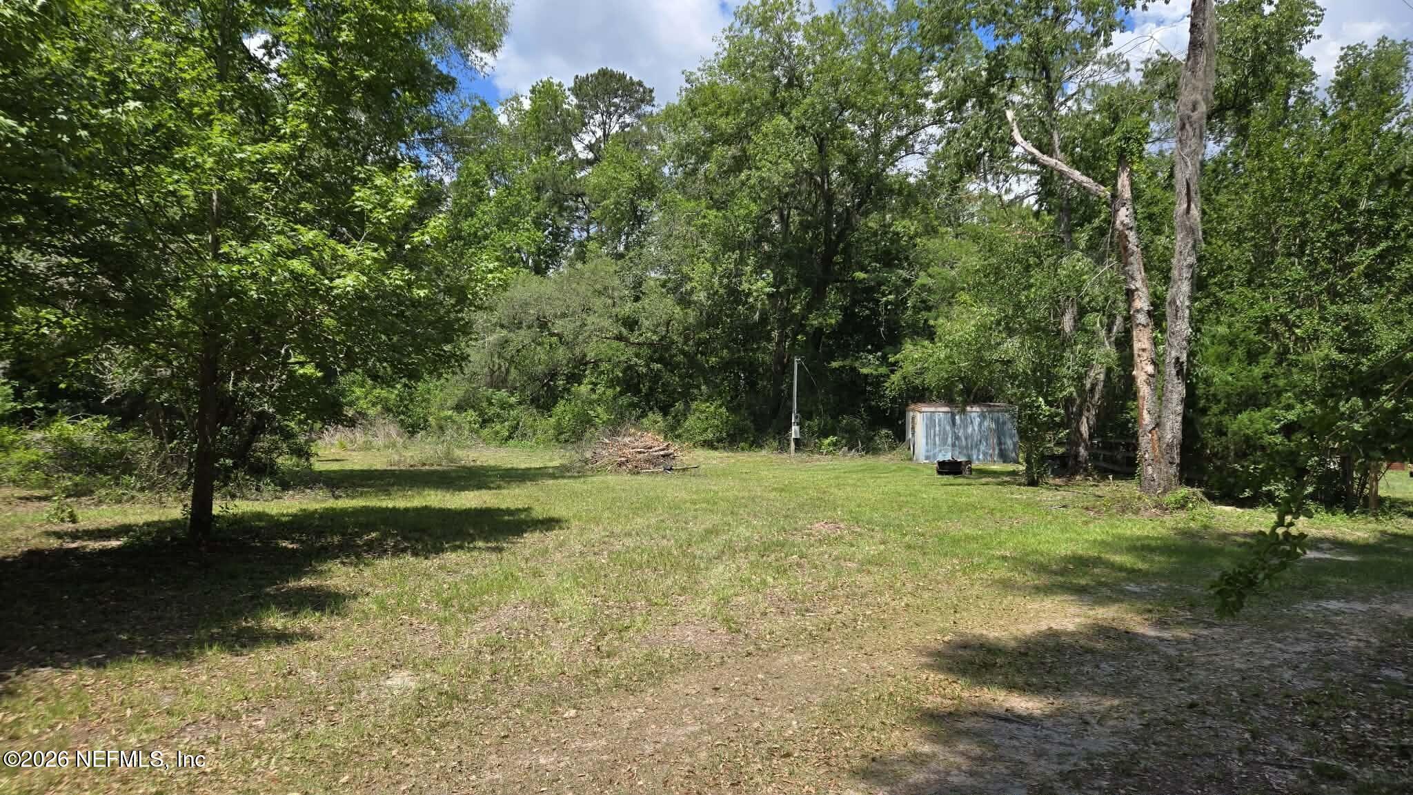 3923 Skipper Road Middleburg, FL 32068 - Photo 19 of 25 a view of a trees with a yard