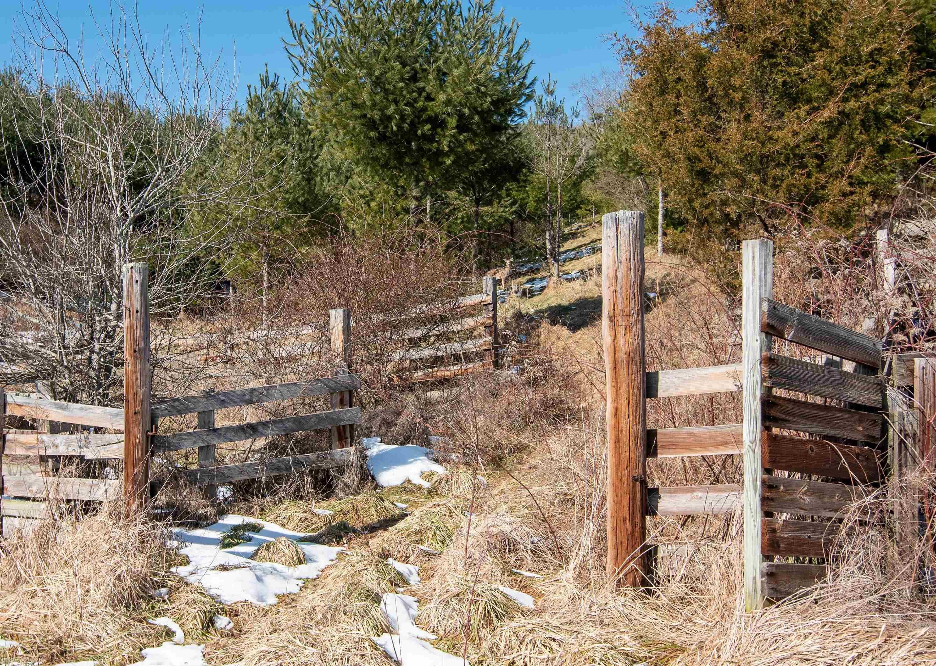 Tbd Wesendonck Road Bland, VA 24315 - Photo 2 of 19 Gallery Image 2