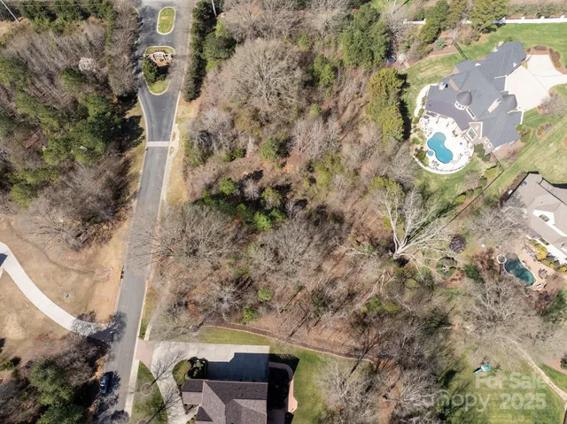 a view of a yard with plants