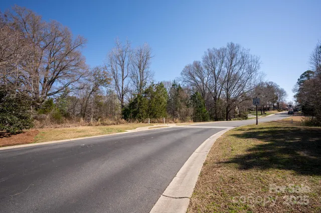 a view of road with large trees