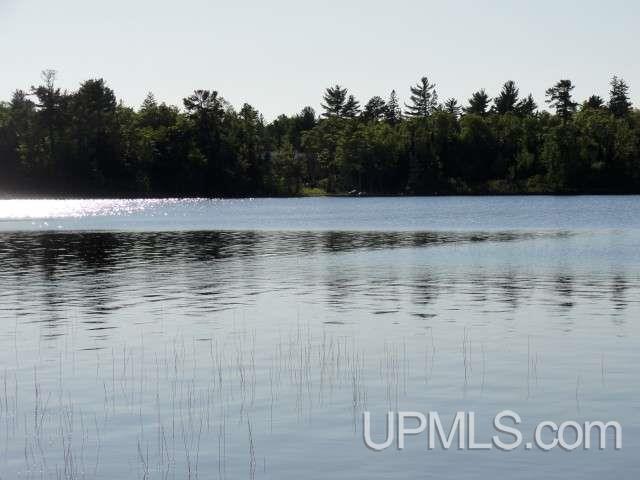 Tbd Little Rice Lk Road, Unit LOT 23 Lake Linden, MI 49945 - Photo 9 of 9