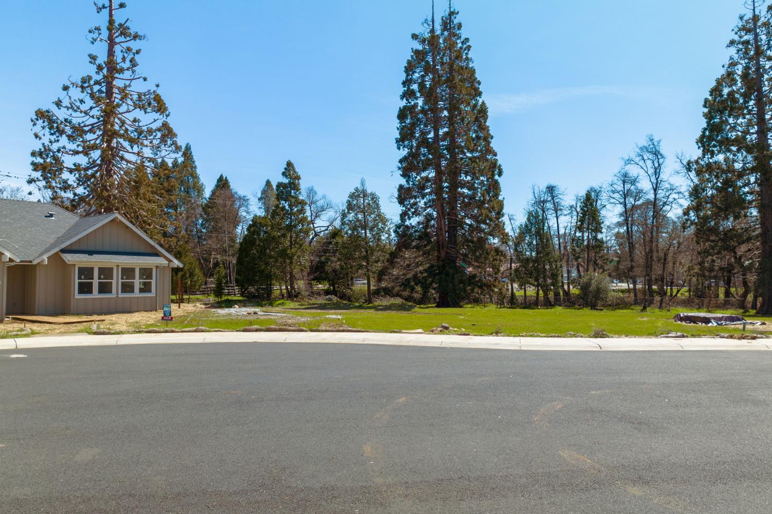 128 Creekside Court Murphys, CA 95247 - Photo 7 of 12