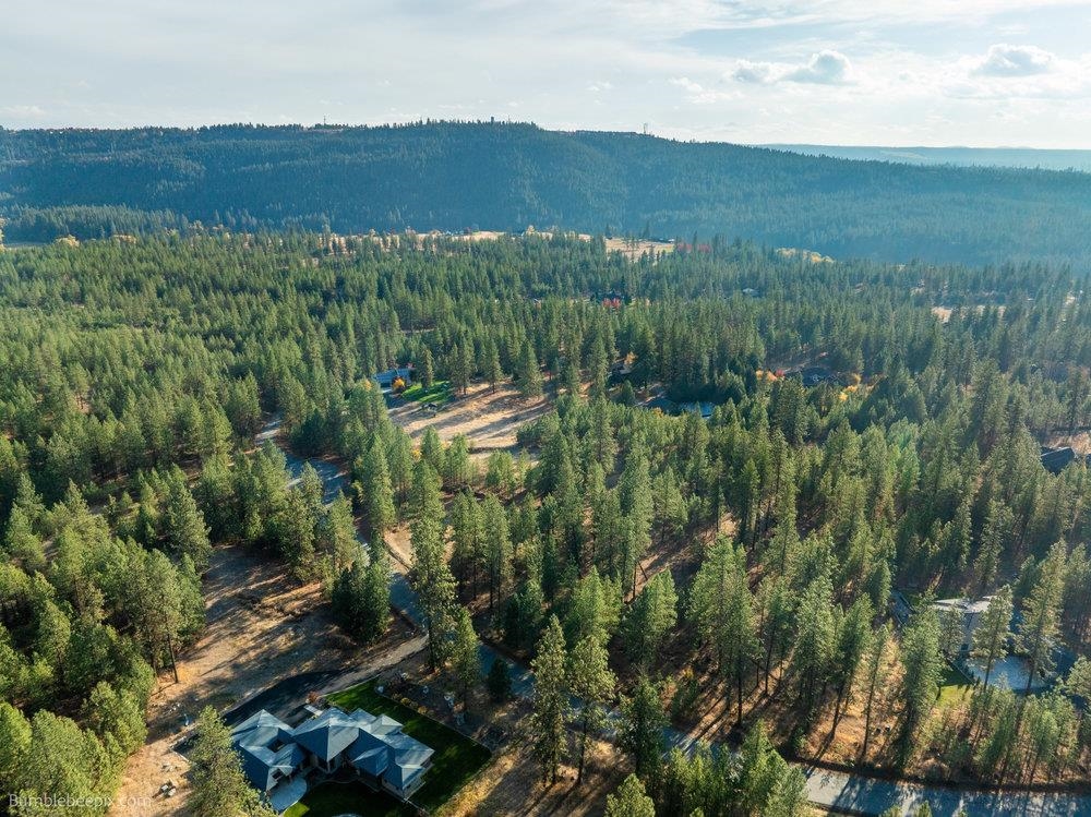 13601 North Riverbluff Lane Spokane, WA 99208 - Photo 14 of 25