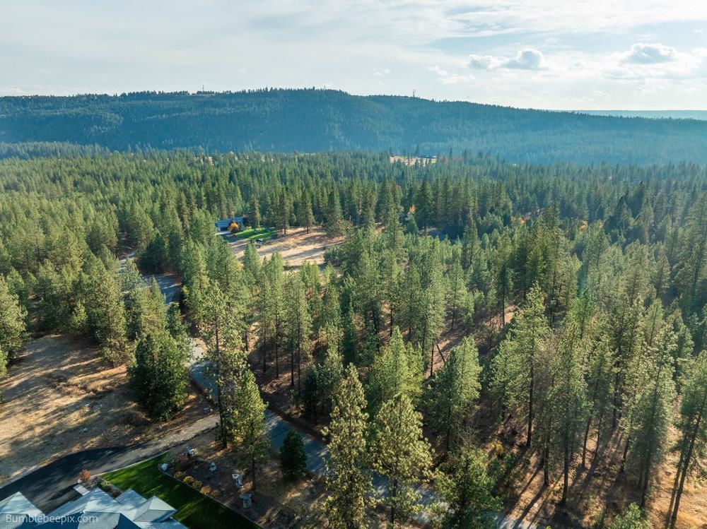 13601 North Riverbluff Lane Spokane, WA 99208 - Photo 16 of 25