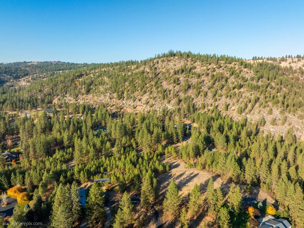 13601 North Riverbluff Lane Spokane, WA 99208 - Photo 19 of 25