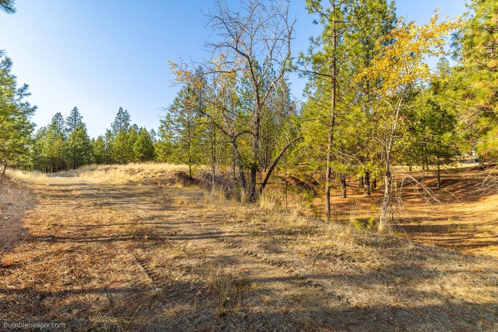 13601 North Riverbluff Lane Spokane, WA 99208 - Photo 22 of 25