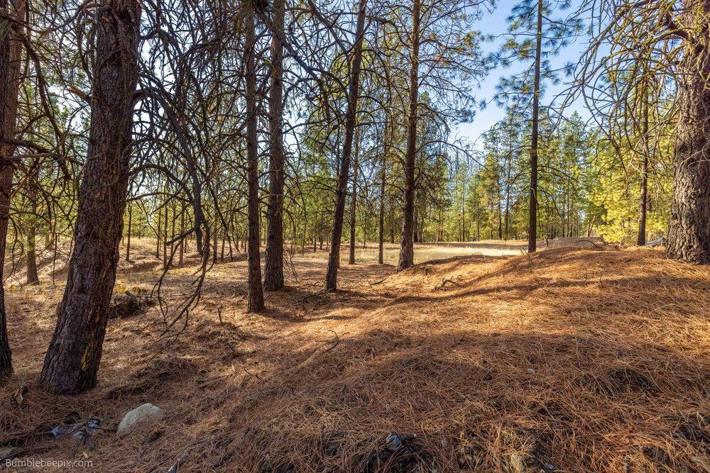 13601 North Riverbluff Lane Spokane, WA 99208 - Photo 4 of 25