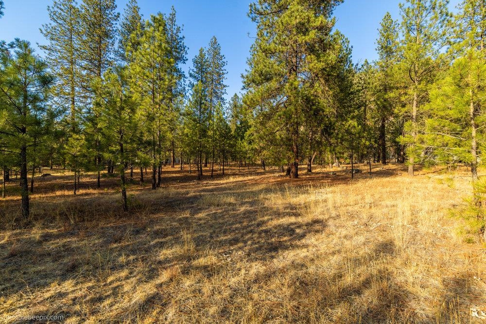 13601 North Riverbluff Lane Spokane, WA 99208 - Photo 7 of 25
