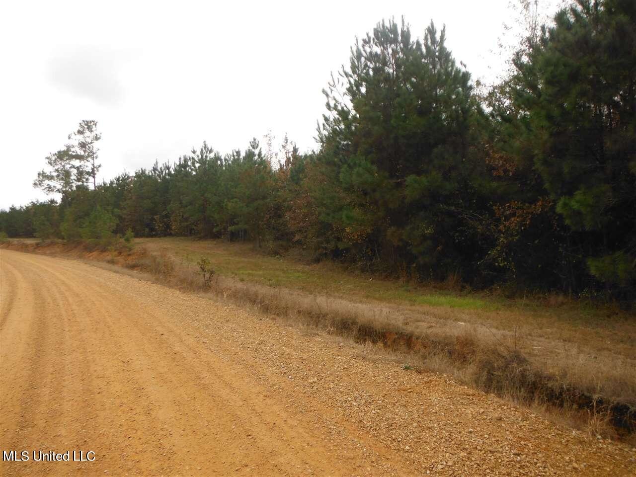 1 Neshoba Co Road Carthage, MS 39051 - Photo 5 of 8 177-4