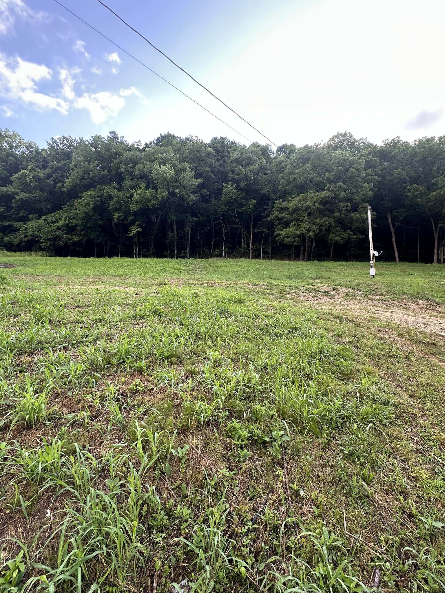 45 Friendship Hollow Road Pleasant Shade, TN 37145 - Photo 8 of 15
