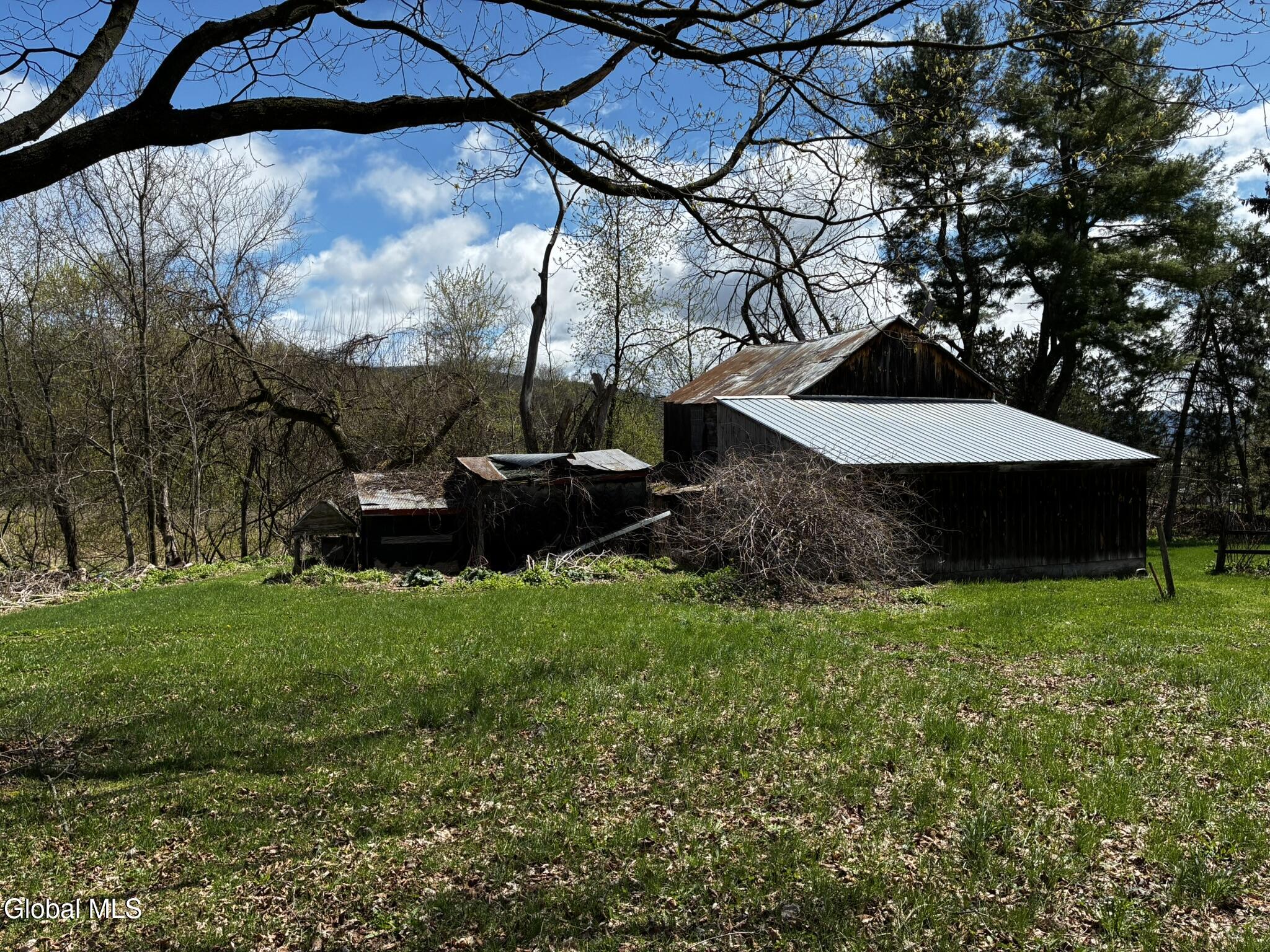 134 School House Road Schoharie, NY 12157 - Photo 51 of 52 IMG_9252