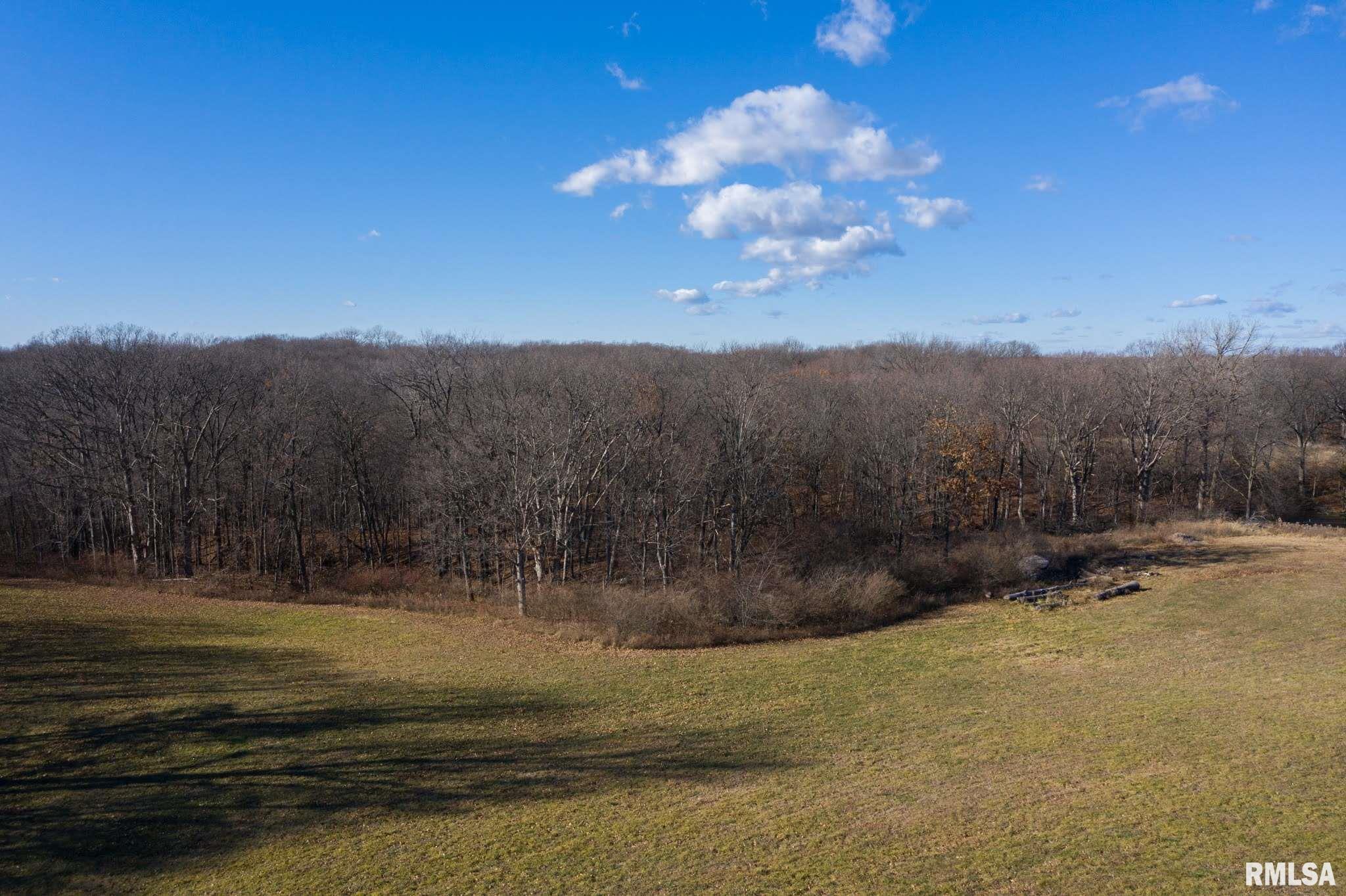30433 Tyrrell Road Mackinaw, IL 61755 - Photo 8 of 50