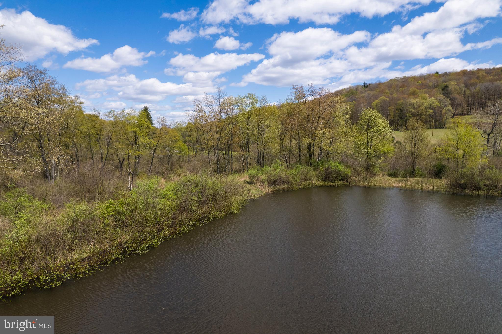 0 Holbrook Road Montrose, PA 18801 - Photo 12 of 147