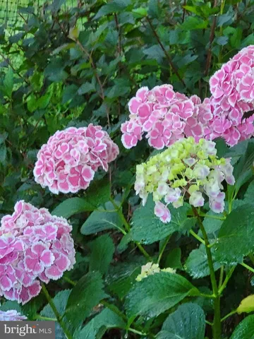 $524,900 | 34 Mowbray Lane, North East, MD 21901