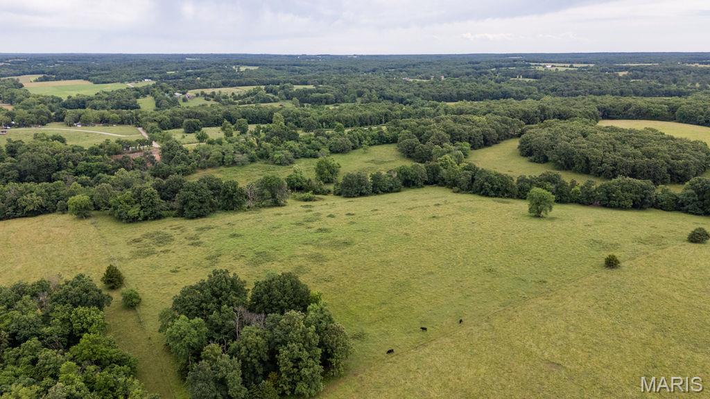 30-ac South 220th Road Half Way, MO 65663 - Photo 26 of 49