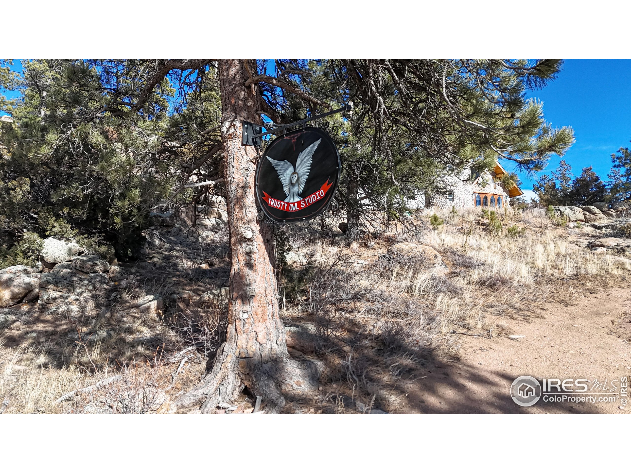 238 Springmeadow Way Red Feather Lakes, CO 80545 - Photo 25 of 42