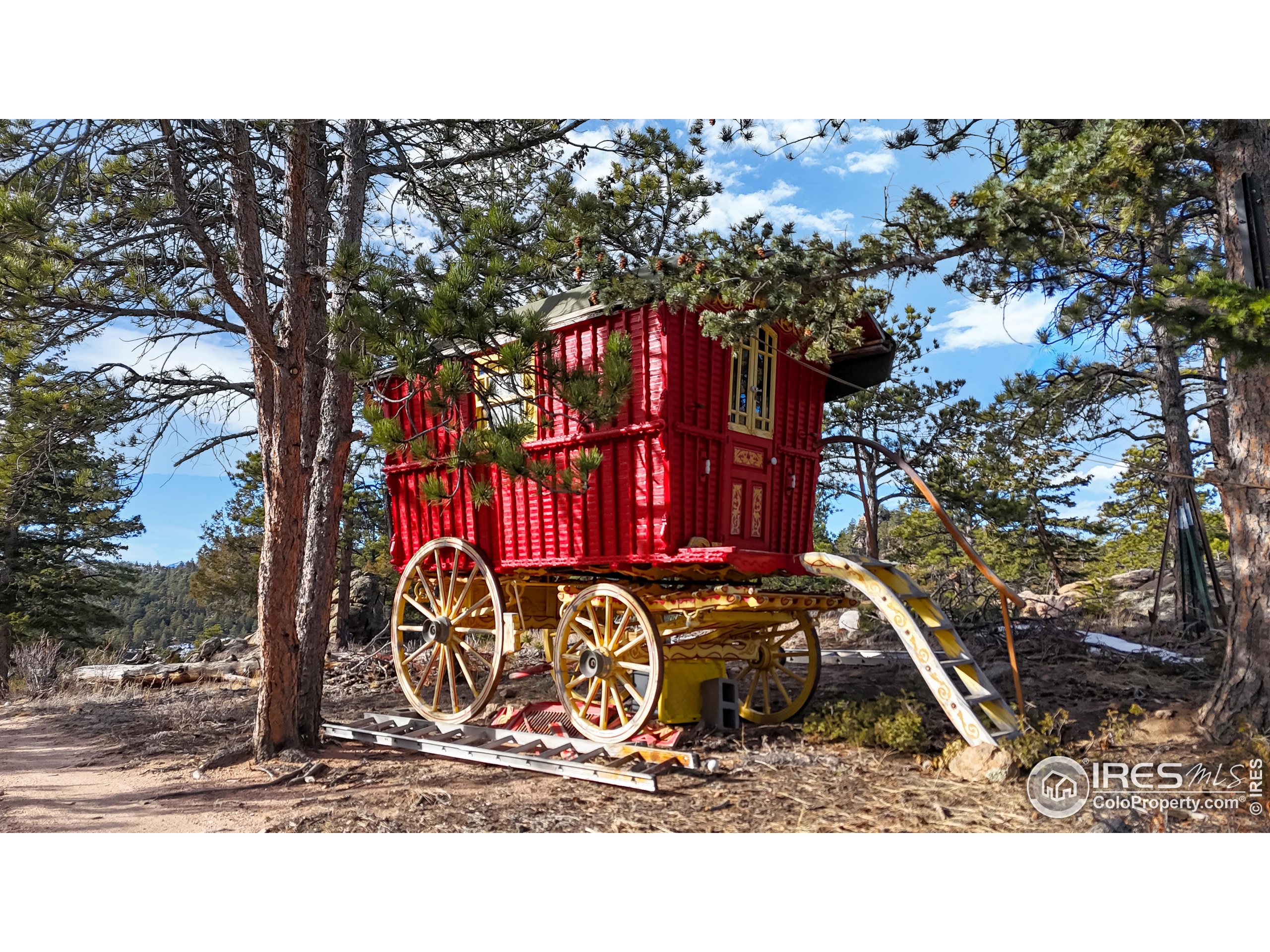 238 Springmeadow Way Red Feather Lakes, CO 80545 - Photo 29 of 42
