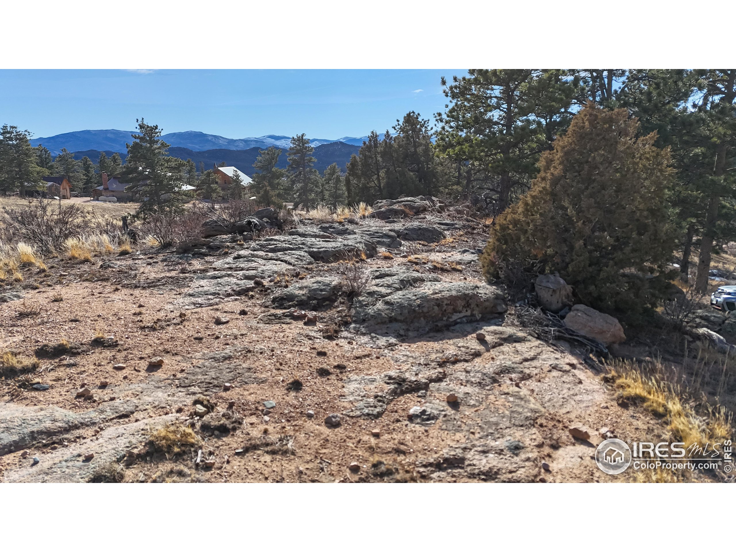 238 Springmeadow Way Red Feather Lakes, CO 80545 - Photo 32 of 42