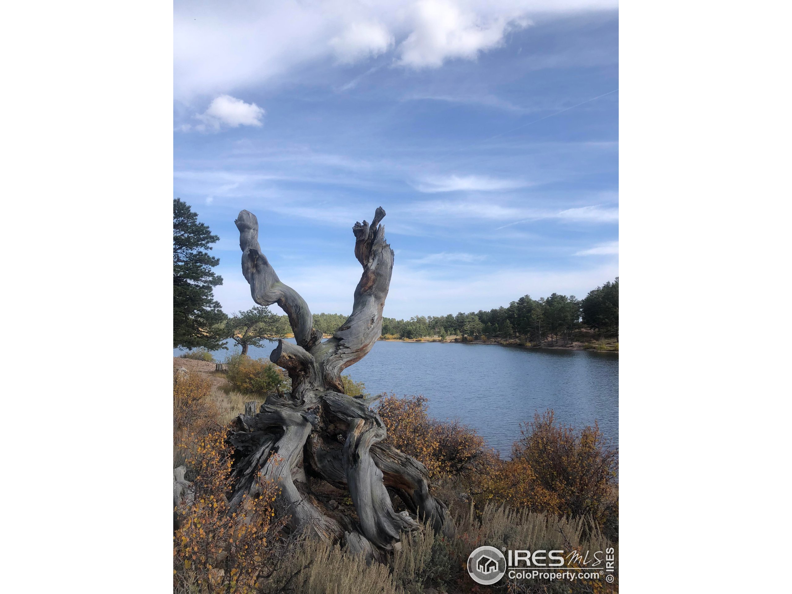 238 Springmeadow Way Red Feather Lakes, CO 80545 - Photo 42 of 42