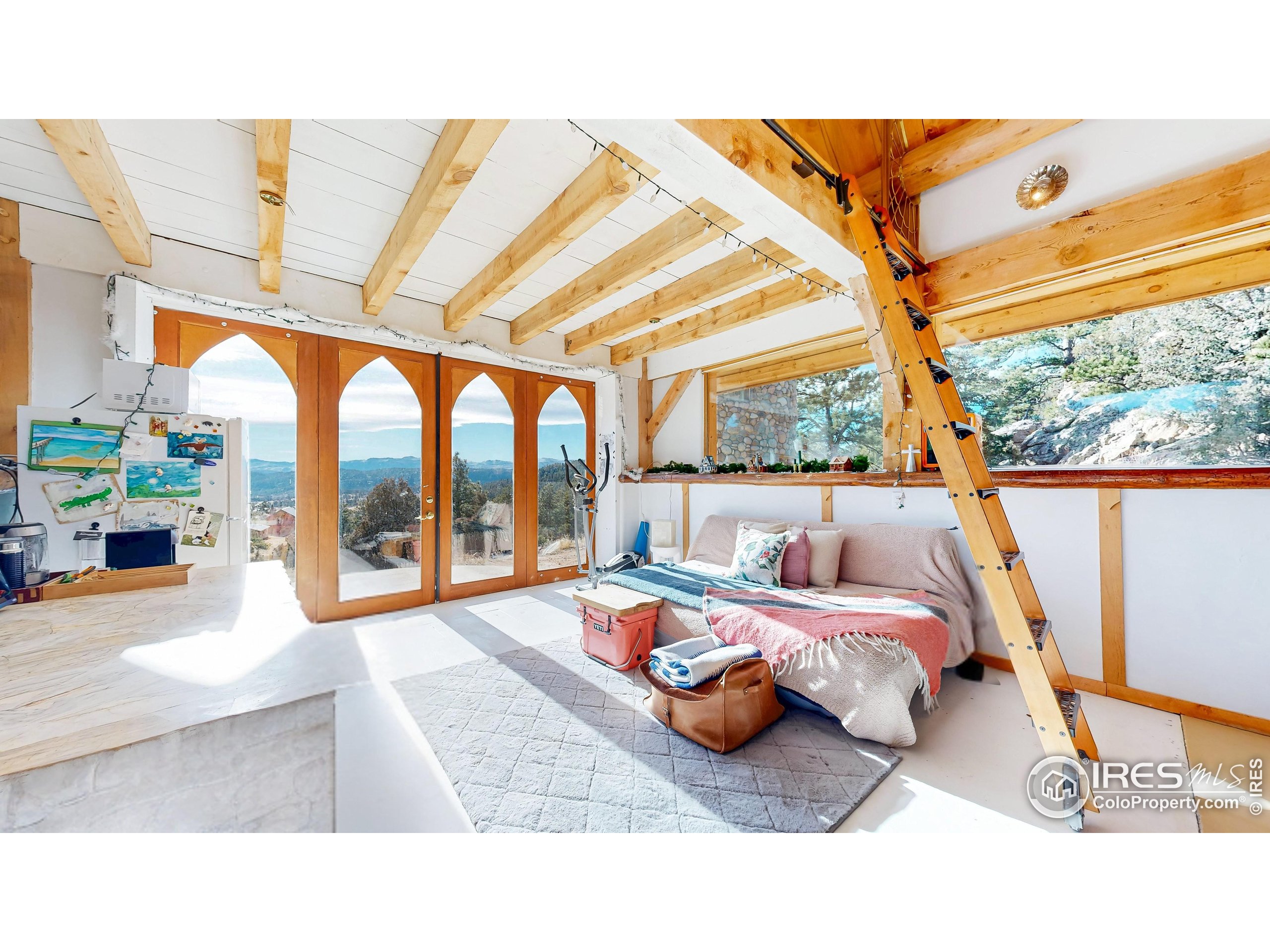 238 Springmeadow Way Red Feather Lakes, CO 80545 - Photo 6 of 42