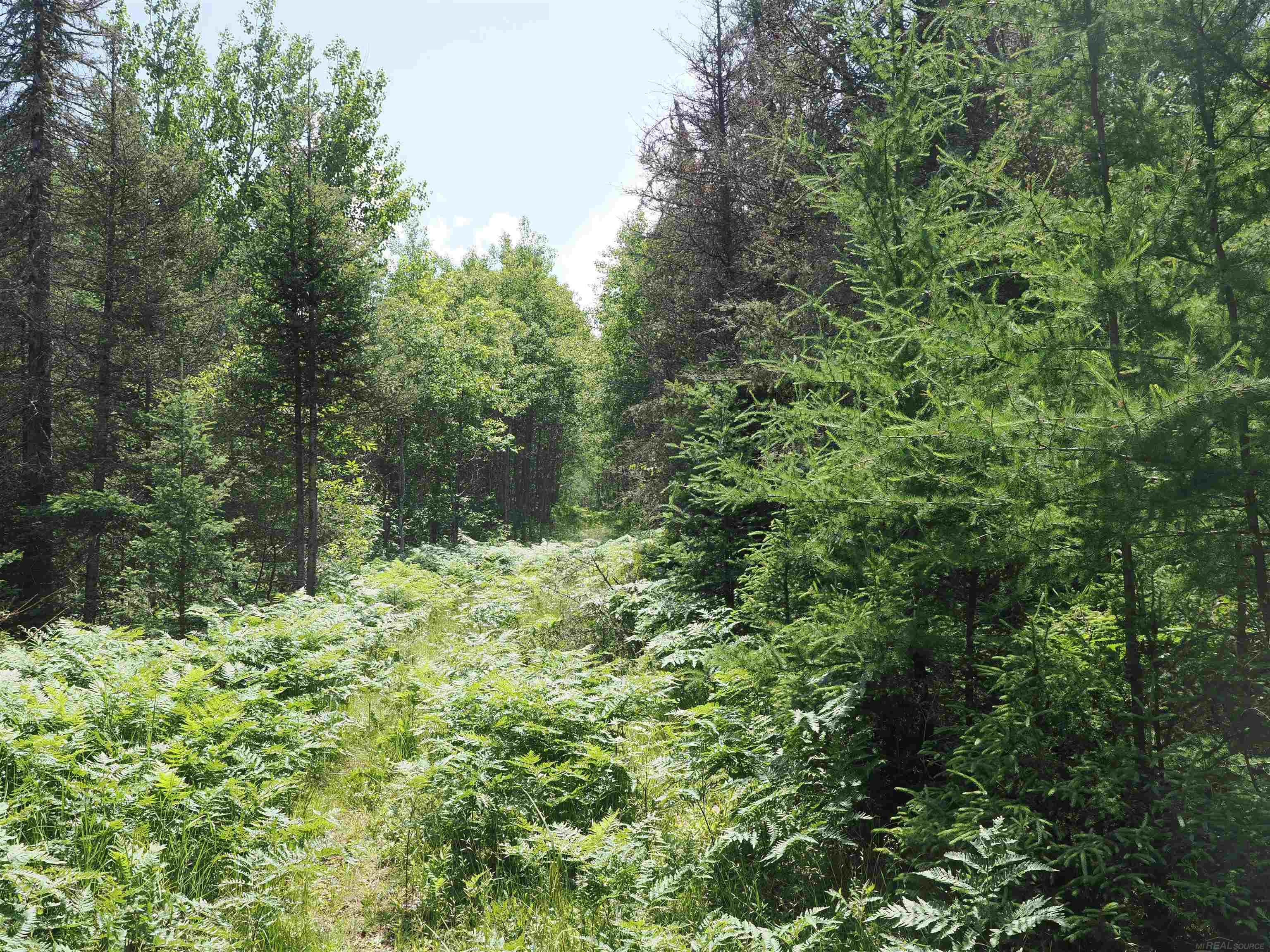 0 County Road Ishpeming, MI 49849 - Photo 22 of 85