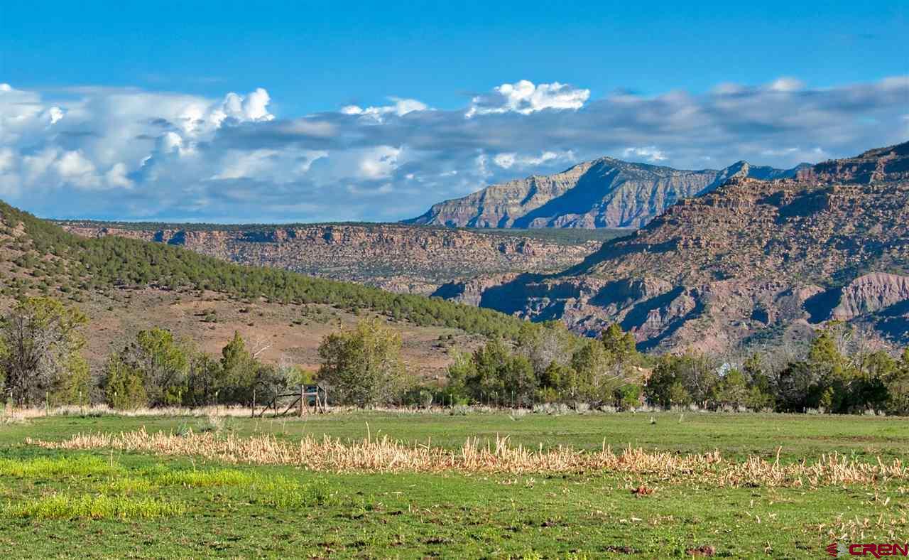 11153 52 1/2 Road Molina, CO 81646 - Photo 4 of 35 Gallery Image 4