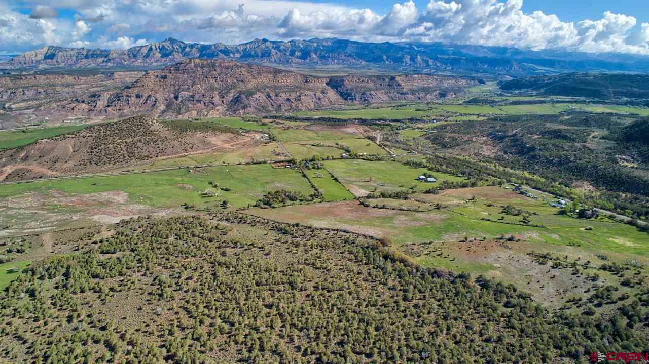 11153 52 1/2 Road Molina, CO 81646 - Photo 5 of 35 Gallery Image 5
