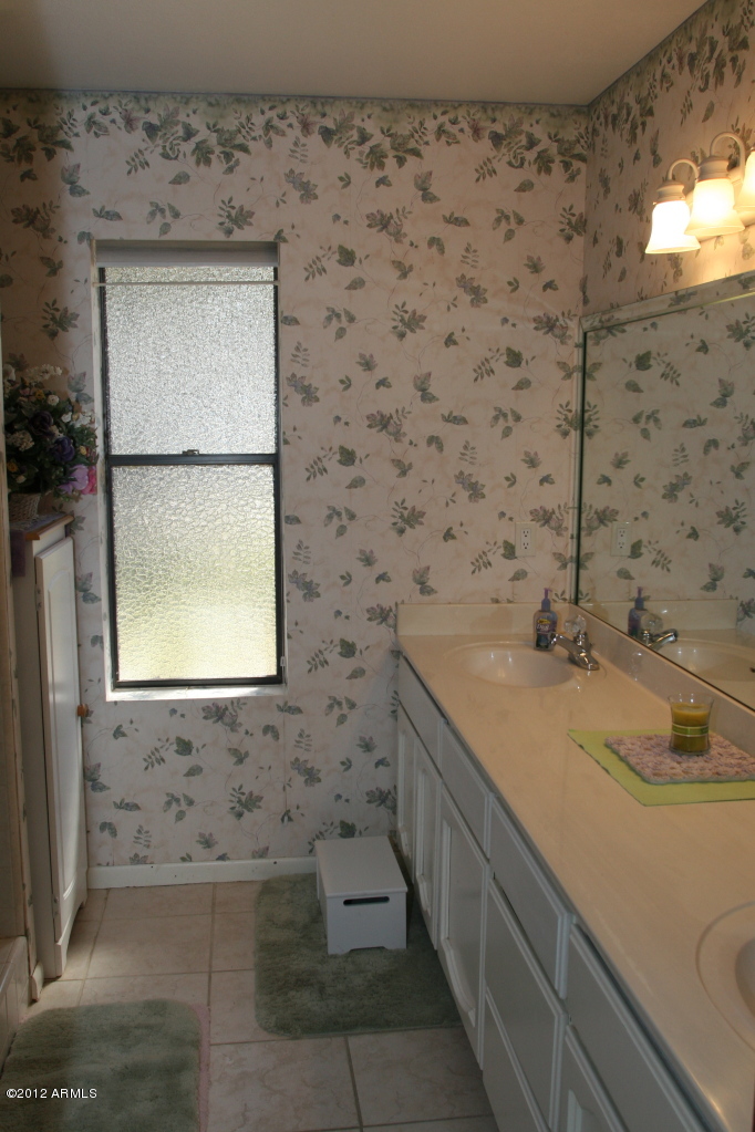 719 North Riata Street Gilbert, AZ 85234 - Photo 11 of 16 Hall Bath