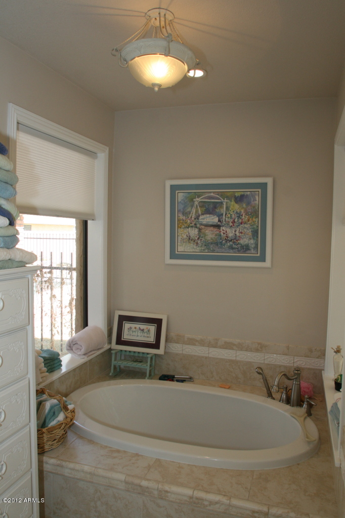 719 North Riata Street Gilbert, AZ 85234 - Photo 9 of 16 Master Bath - Garden Tub