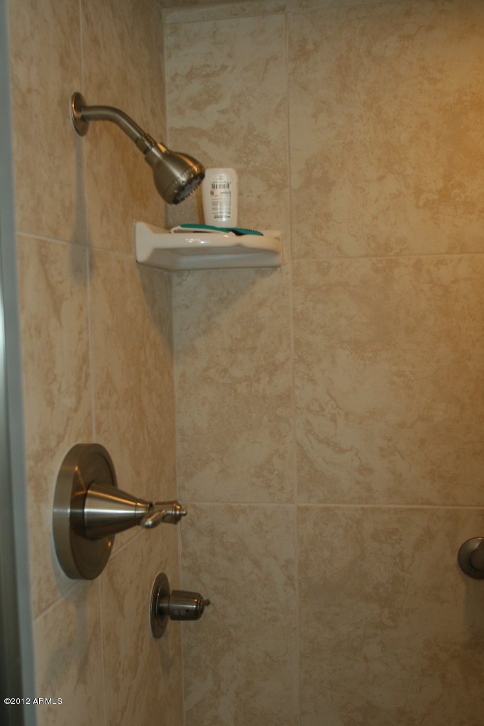 719 North Riata Street Gilbert, AZ 85234 - Photo 10 of 16 Remodeled Shower