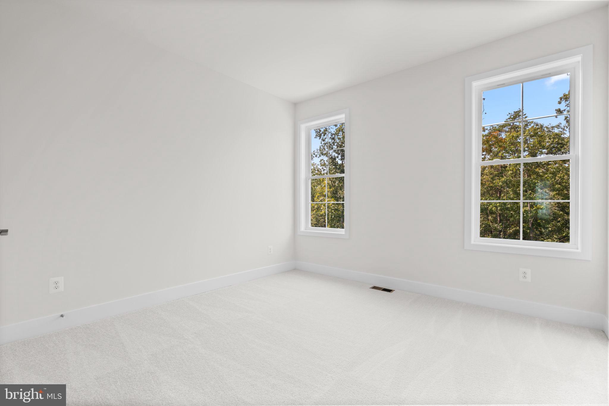 106 Sapphire Street Stephenson, VA 22656 - Photo 30 of 46 an empty room with windows